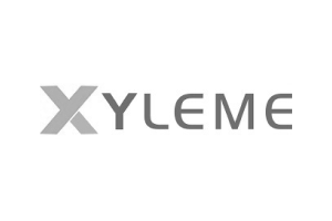 Xyleme